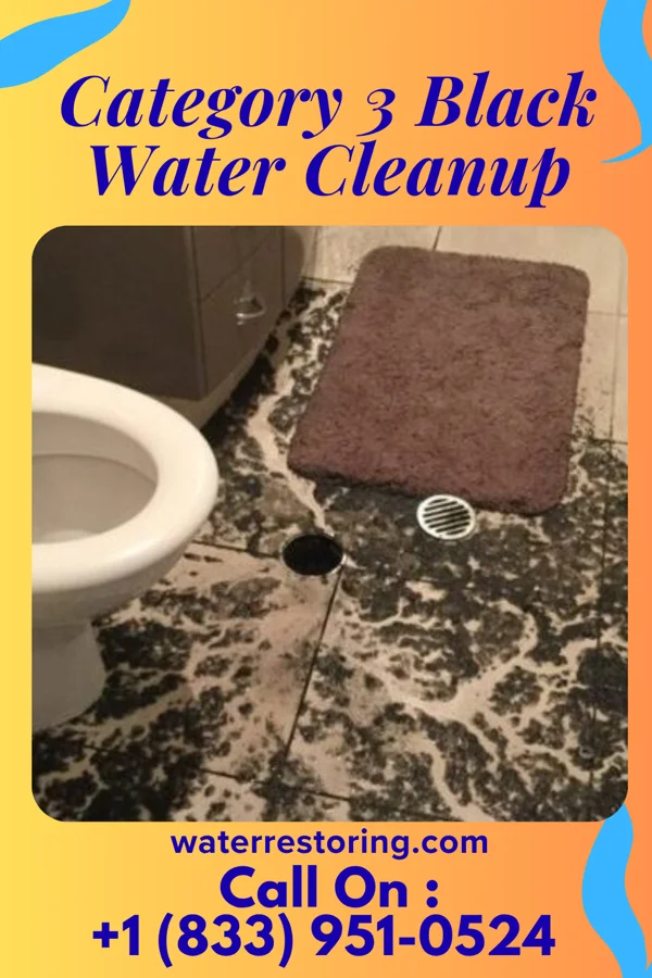 Category 3 Black Water Cleanup in Earlington, KY